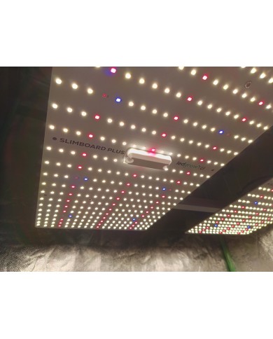 Slimboard LED cultivo indoor 240W con espectro completo LED y eficiencia fotónica µmol/J para cultivo eficiente con PPFD óptimo