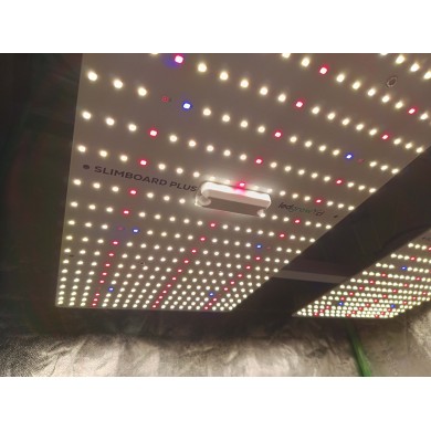 Slimboard LED cultivo indoor 240W con espectro completo LED y eficiencia fotónica µmol/J para cultivo eficiente con PPFD óptimo