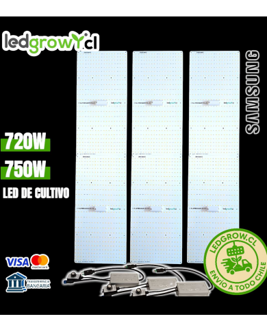SLIMBOARD PLUS 120  -  720W...