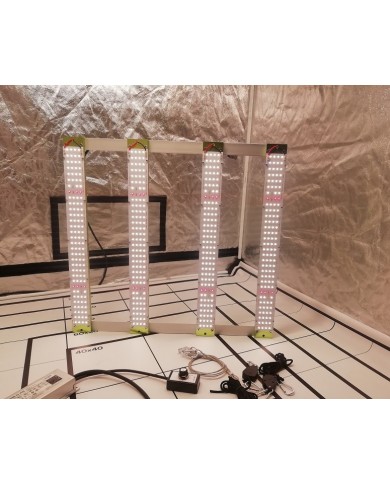 PAQUETE Quantum BAR 250W