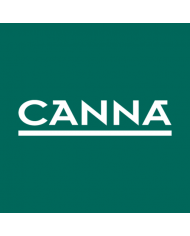 Canna